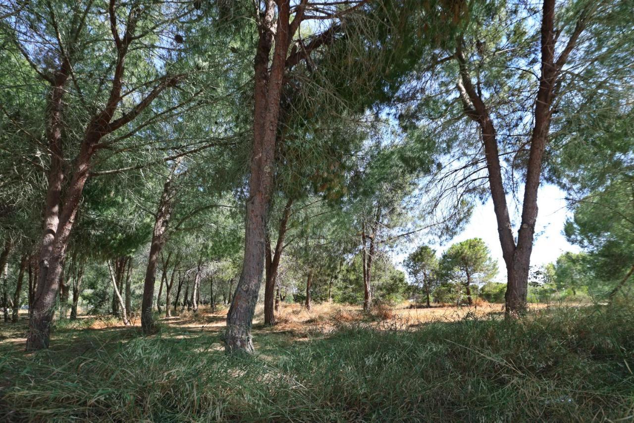 Cozy Holiday Apartment In Larnaca Near Foinikoudes ภายนอก รูปภาพ